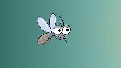 夏日一只大眼睛蚊虫袭来视频的预览图